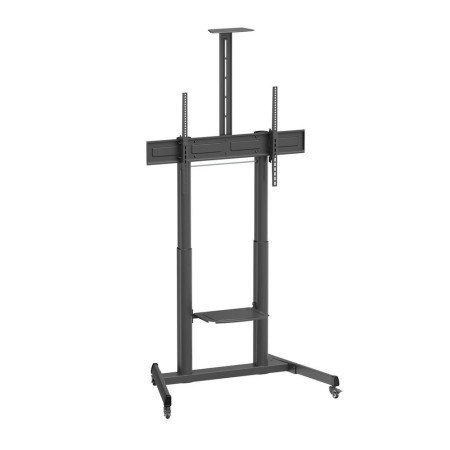 https://img.megasur.es/234/MGS0000028756-0.jpg