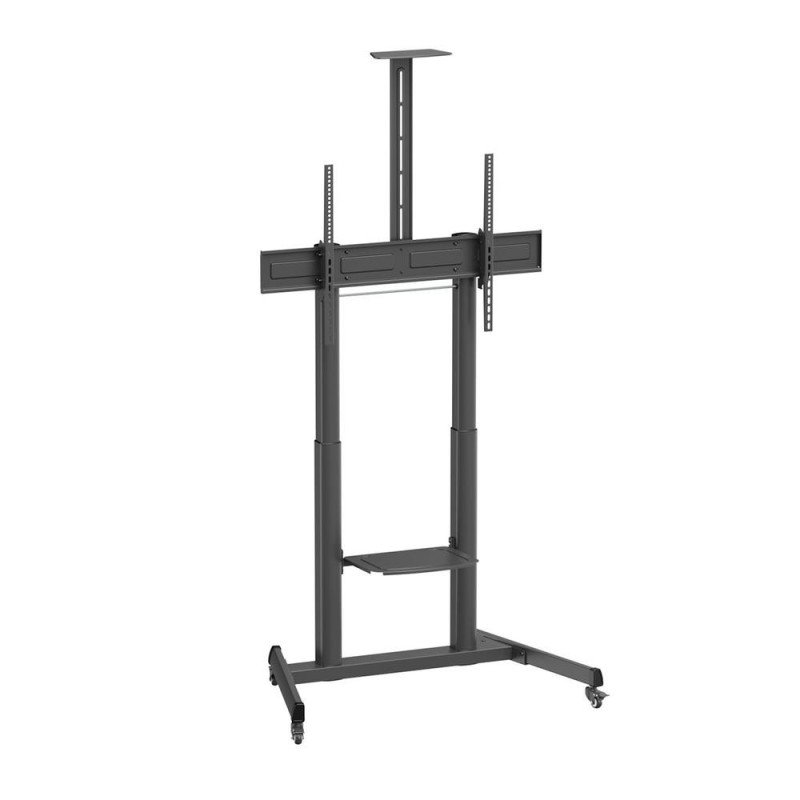 https://img.megasur.es/234/MGS0000028756-0.jpg
