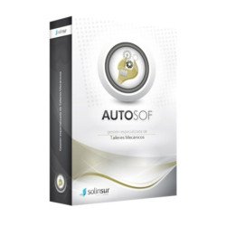 Programa de gestion integral de talleres de coches monopuesto solinsur licencia electronica