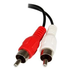 Cable mini jack 3.5mm startech 0.15m - macho - hembra