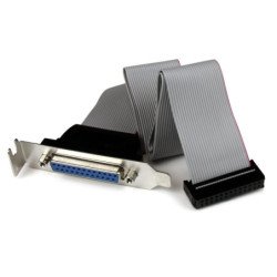 Adaptador paralelo db25 a idc26 startech 0.4m - hembra - hembra